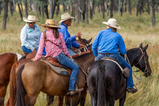 Four country folk chatting on their horses.