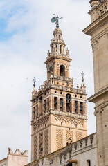 Fototapeta na wymiar Giralda, bell tower of the cathedral of the city of Seville, in Andalusia (Spain)