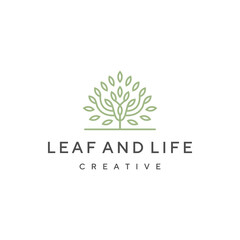 leaf tree growth logo design template