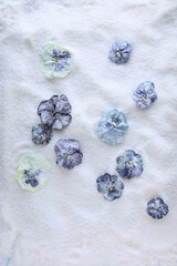 Candied viola flowers on sprinkled sugar. Edible flowers in cooking and confectionery.