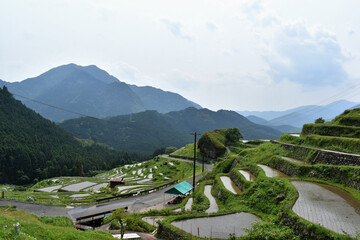 千枚田,三重県,田園,田植え,米,水田,日本の風景,熊野