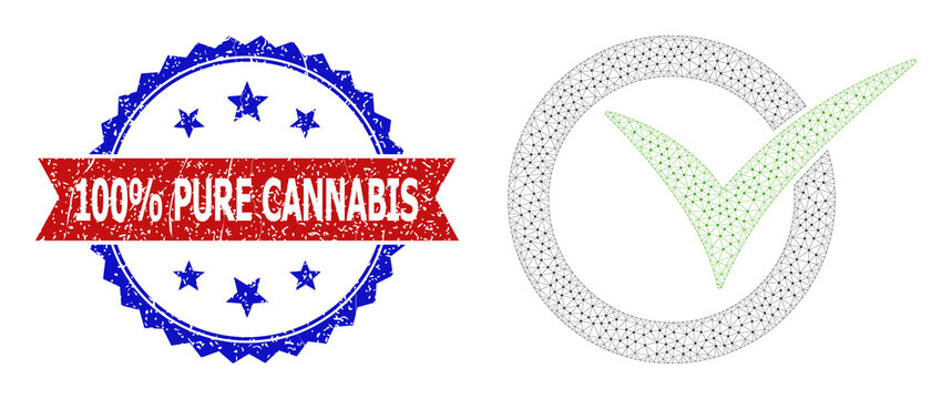 Triangular approve carcass icon, and bicolor unclean 100% Pure Cannabis stamp. Polygonal carcass image is designed with approve icon.