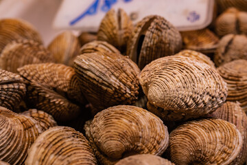 Background of Warty venus (Venus verrucosa), in the market of Vigo (Spain), food concept.