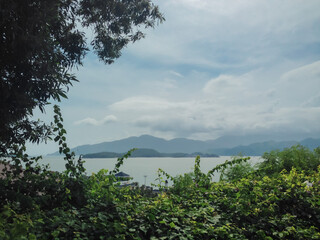 Obraz premium tree on the hill