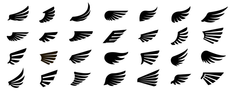 Set of wings icons. Vector illustration.