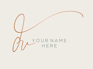 DV monogram logo.Calligraphic signature icon.Lowercase letter d, letter v.Lettering sign isolated on light fund.Wedding, fashion, beauty alphabet initials.Handwritten style characters.