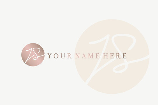 JS monogram logo.Calligraphic signature icon.Uppercase letter j, letter vs.Lettering sign isolated on light fund.Wedding, fashion, beauty alphabet initials.Handwritten style characters.Circle emblem