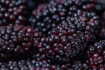 Freshly harvested mulberries in a white plate
