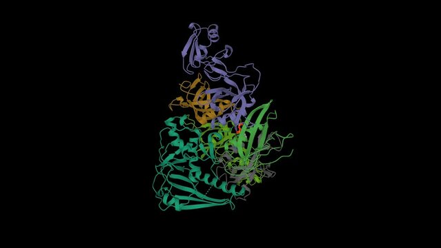 Binary complex of pertussis toxin with ATP. Animated 3D cartoon and Gaussian surface model, PDB 1bcp, black background