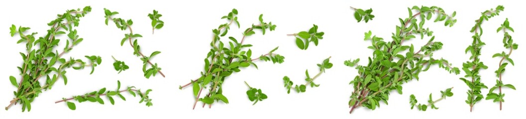 fresh Oregano or marjoram leaves isolated on white background. Top view. Flat lay. Set or collection