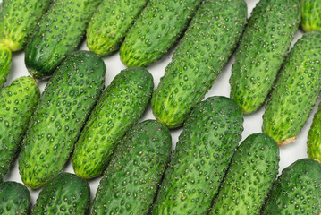 Fresh green cucombers as a background