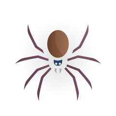 spider icon on white background, vector illustration