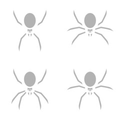 spider icon on white background, vector illustration