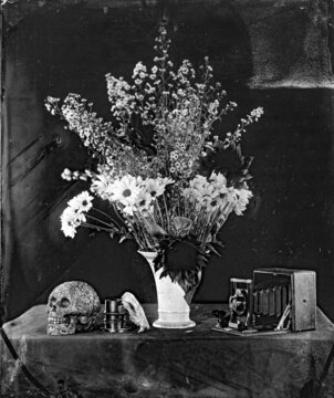 tintype wet plate collodion vintage photo of vanitas and still nature