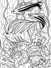 Coloring book, aquarium with fish and algae. Sea bottom. Coloring book antistress for children and adults.