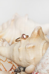 Ring product shot. Golden ring on marine shell background. Jewelry fashion photography.	