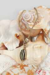 Necklase product shot. Gold necklace with round pendant on marine shell background. Jewelry fashion photography.	