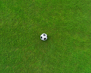 green grass texture with a soccer ball - well-groomed turf in the garden