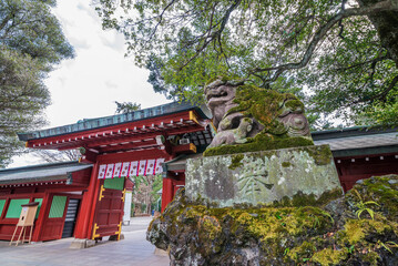 神社　門　神社仏閣　拝殿　大國魂神社　随神門　寺社仏閣