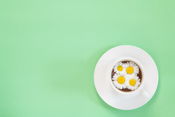 Cup of fresh healthy herbal chamomile tea on a green background 