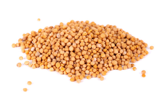Mustard seeds isolated on white background. Pile of dry mustard grains.