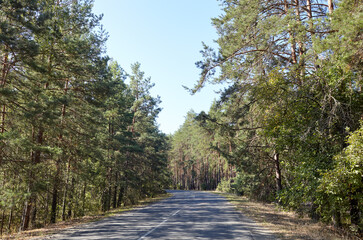 Fototapeta na wymiar Asphalt winding country road near the forest. A bend road at rural Europe