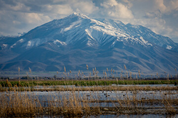 Snowy Wasatch Mountains beyond Utah Lake
