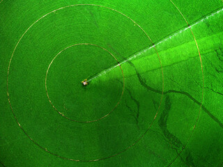 Aerial View from a Drone Flying above Green Farm Field Growing Crops Irrigation Pivot Sprinklers