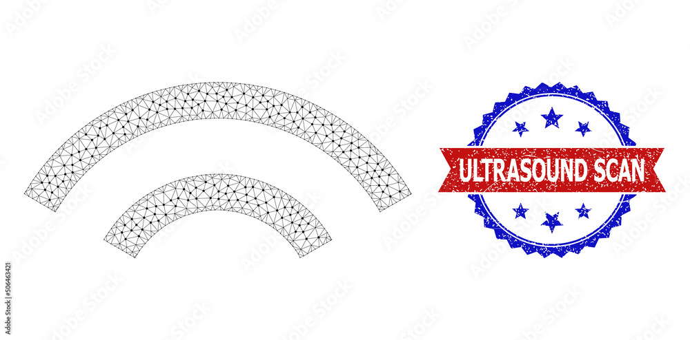 Poster triangular radio waves carcass icon, and bicolor unclean ultrasound scan stamp. polygonal carcass im