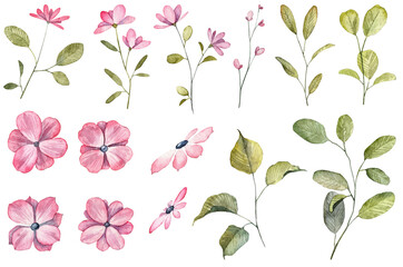 Collection of cute pink flowers and green leaves. Watercolor hand painted botany clip art isolated on white background. Flowers blooming design elements.