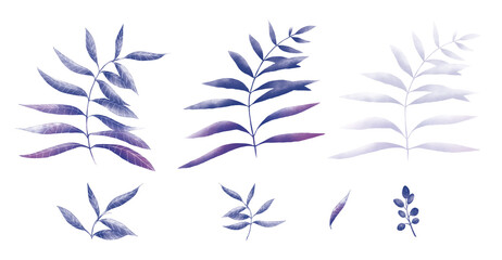 Fototapeta na wymiar Watercolor leaves. Lilac leaf. Purple violet nuance leaf illustration. Natural elements for floral seamless composition, wallpaper, textiles.