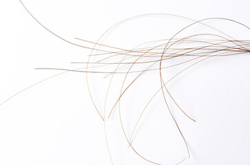 Hair closeup on a white background. The concept of hair care or alopecia. Copy space