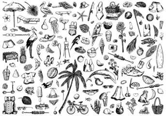Summer time sketches collection. Drawings set of animals, plants, leisure accesories, clothing, foods. Hand drawn vector illustrations. Cliparts isolated on white.