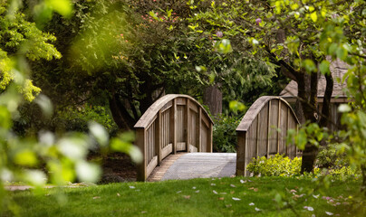 Scenic Path and Wooden Bridge in a park with green trees. City Suburban Neighborhood. Fraser Heights, Surrey, Vancouver, British Columbia, Canada.