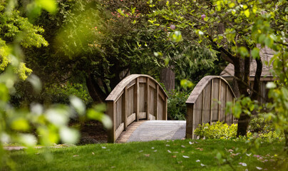 Scenic Path and Wooden Bridge in a park with green trees. City Suburban Neighborhood. Fraser...