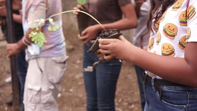 Group of unrecognizable teenagers holding plants in their hands to start a reforestation day in Leon Nicaragua