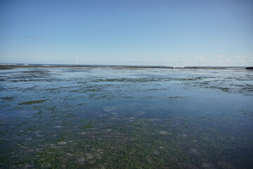 beautiful blue sky beach view with sun rays reflection over sea water