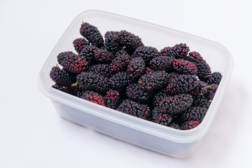 Freshly harvested mulberries on white background