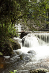 Obraz premium NATUREZA