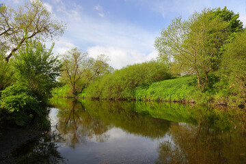 Fototapeta na wymiar View of the River Wear on a Sunny Spring Day near Shincliffe, Durham, County Durham, England, UK.