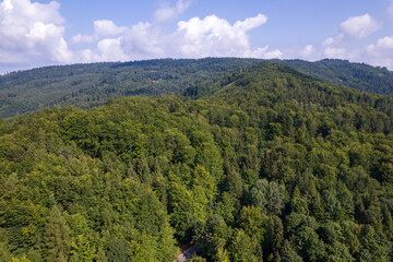 Fototapeta premium Mountains and forests in the vicinity of Bielsko-Biala. Sunny weather and green trees. The road in the middle of the forest.
