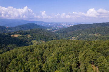 Mountains and forests in the vicinity of Bielsko-Biala. Sunny weather and green trees. The road in the middle of the forest.