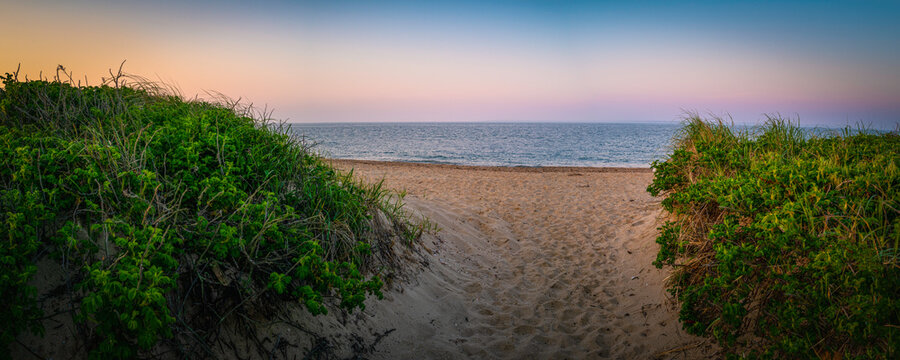 Tranquil sunrise seascape with rosehip plants bushes over the sand dunes at the beach access footpath on Cape Cod