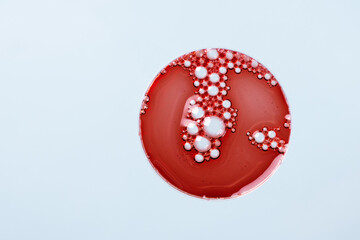 Abstract petri dish with cosmetic or medical liquid on blue background top view. Science cosmetic laboratory concept.