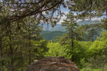 The Tsepina Fortress is situated a few kilometers north-west of the Rhodope village of Dorkovo. The fortress is one of the most often visited historical landmarks in this section of the Rhodope mounta