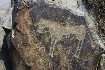 On a large dark flat stone is an ancient petroglyph, an image of an ancient man on a horse, close-up, in the Tamgaly tract, summer, sunny