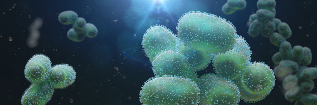 Monkeypox viruses, microscopic pathogen closeup, infectious zoonotic disease, background banner format 