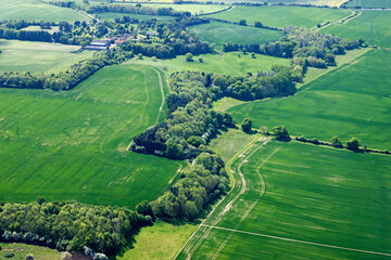 Obraz premium View of hedgerows and copses in the countryside of Oxfordshire, England
