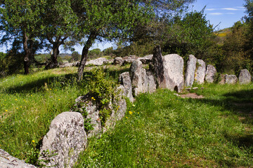 Tomba dei giganti pascareddha