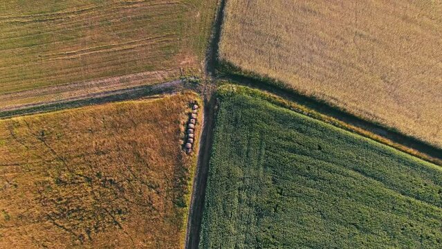 Drone top shot of a field. Flying over a field.